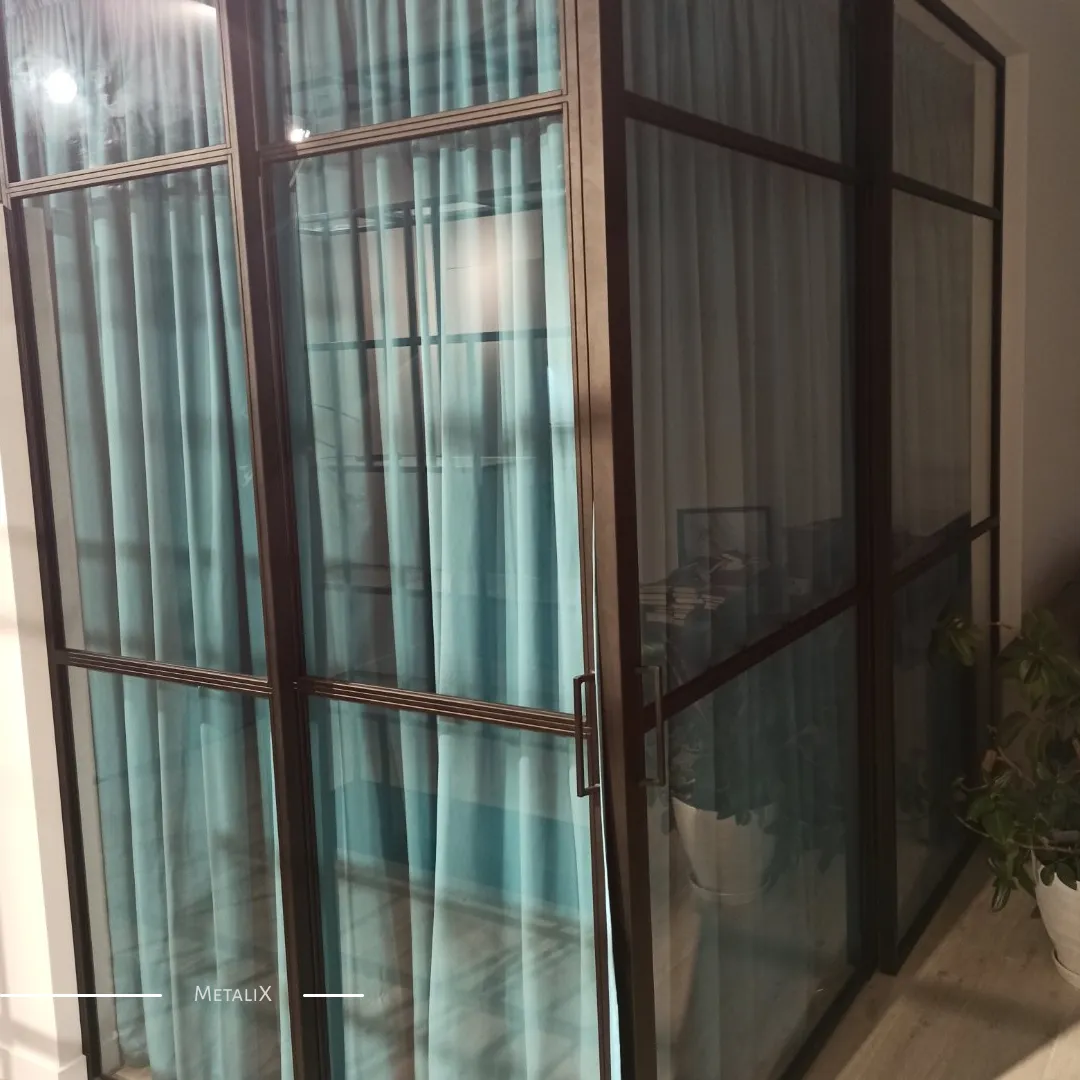 MetaliX custom steel door