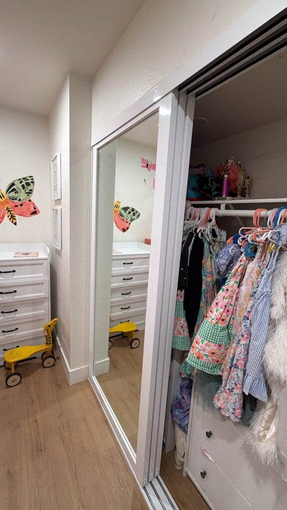 Mirror closet door with organizer installed by The Door Replacement Company, serving Paramount, CA